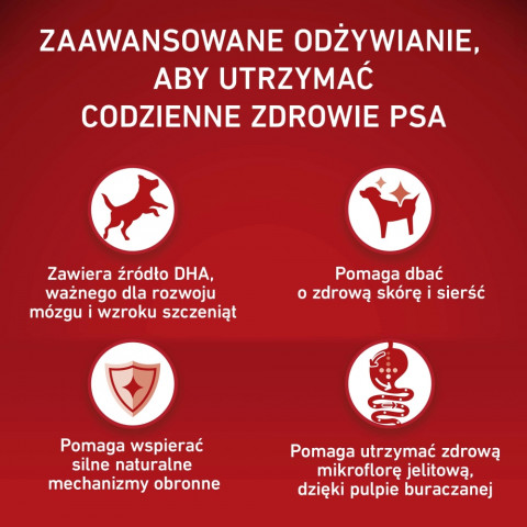 PURINA One Junior Medium/Maxi Rich in chicken with rice - trockenfutter für Hunde - 7kg - Fotogalerie 2