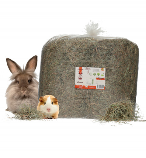 RECEK Wiesenheu für Nagetiere - handverpackt - 4 kg - Fotogalerie 1