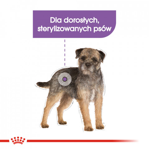 ROYAL CANIN Mini Sterilised - Trockenfutter für ausgewachsene Hunde, kleine Rassen, nach Sterilisation - 1kg - Fotogalerie 8