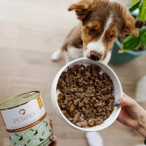PERRO Junior Lamb with zucchini - Nassfutter für Hunde - 400g - Fotogalerie 3