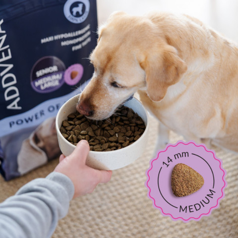 ADDVENA Power of Nature Senior Medium/Large Lamb - trockenfutter für Hunde - 10kg - Fotogalerie 4