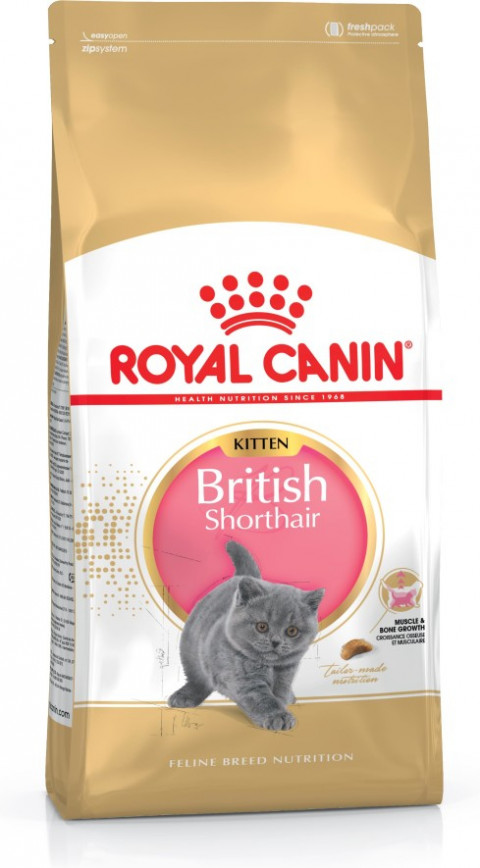 Royal Canin British Shorthair Kitten Katzen-Trockenfutter 2 kg Geflügel, Reis, Gemüse - Fotogalerie 9