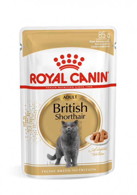 ROYAL CANIN British Shorthair Paket 12x85g - Fotogalerie 1