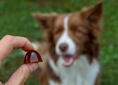 GELOREN Small dog Joints - hundevitamine - 180g - Fotogalerie 3