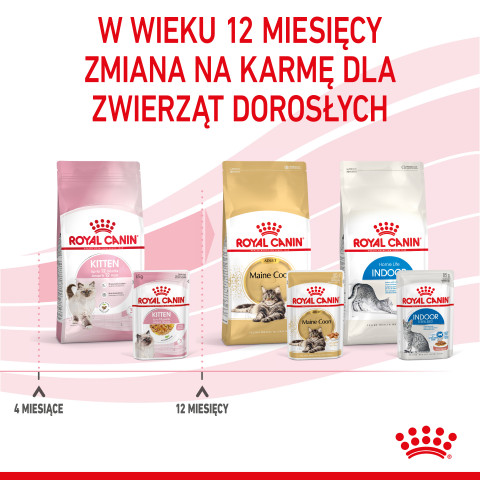 Royal Canin FHN Kitten Instinctive in Gelee - Nassfutter für Kätzchen - 12x85g - Fotogalerie 8
