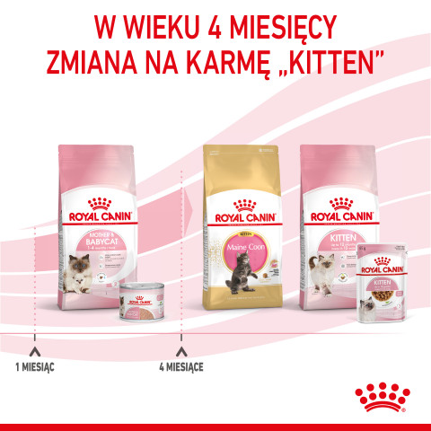 Royal Canin BABYCAT INSTINCTIVE - Nassfutter für Katzen - 195 g - Fotogalerie 7