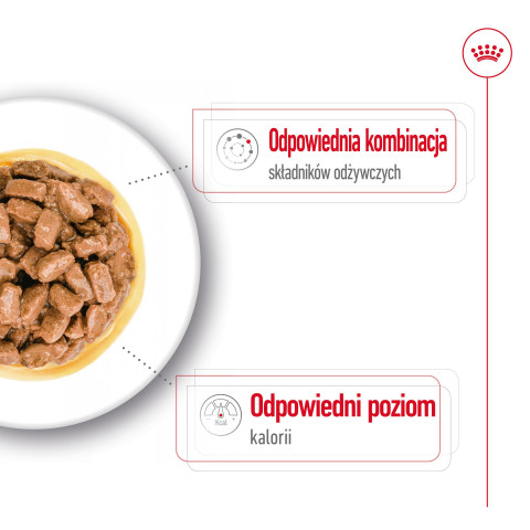 ROYAL CANIN Mini Ageing - nassfutter für Hunde - 12 x 85g - Fotogalerie 6