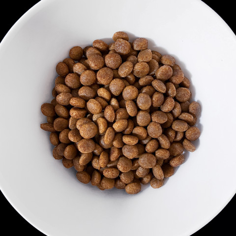 VET RESPONSE Hypoallergenic - trockenfutter für Hunde - 8kg - Fotogalerie 3