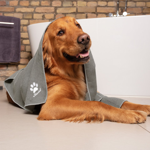 VILEDA Pet Pro Always Clean Gummibesen mit Stiel zur Entfernung von Tierhaaren + GRATIS! Vileda PET PRO Mikrofasertuch M 70x45 cm - Fotogalerie 6