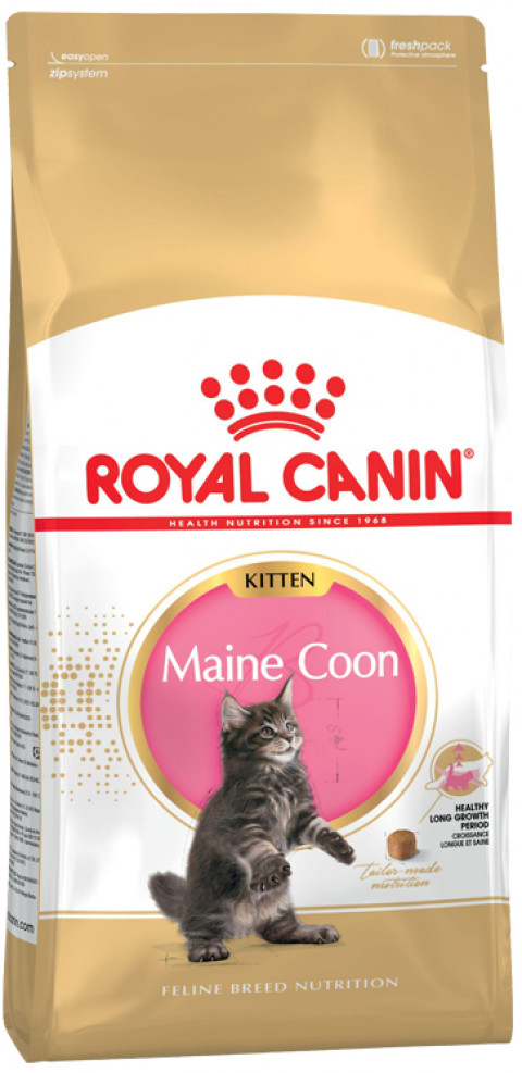 ROYAL CANIN Maine Coon Kitten - Trockenfutter für Katzen - 2 kg - Fotogalerie 10