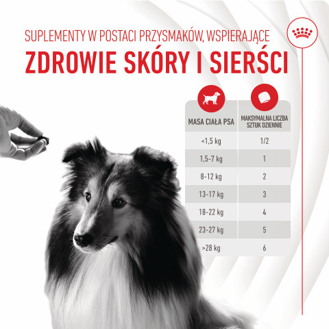 ROYAL CANIN Supplements Dog Skin & Coat Adult - hundevitamine - 240g - Fotogalerie 13
