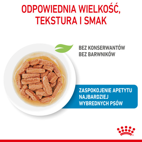ROYAL CANIN SHN Medium Puppy in Sauce - Nassfutter für Welpen - 10x140g - Fotogalerie 10