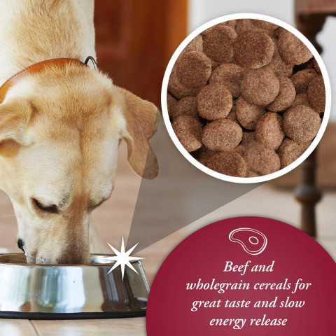 ARKWRIGHT Complete Beef - trockenfutter für Hunde - 15kg - Fotogalerie 2