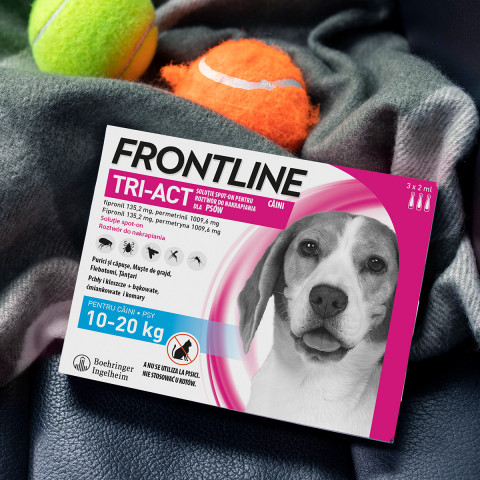 FRONTLINE Tri-Act M Parasitentropfen für Hunde 10-20 kg, 3 x 2 ml - Fotogalerie 6