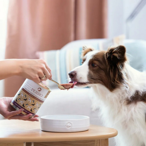 PERRO Turkey with zucchini Monoprotein - Nassfutter für Hunde - 400g - Fotogalerie 2