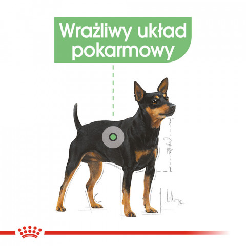 ROYAL CANIN Mini Digestive Care - Hundetrockenfutter für ausgewachsene kleine Rassen - 1kg - Fotogalerie 8