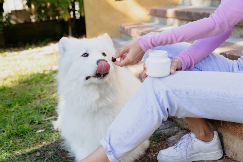 VIRBAC Movoflex S Joints - nahrungsergänzungsmittel für hunde - 30 stück - Fotogalerie 2