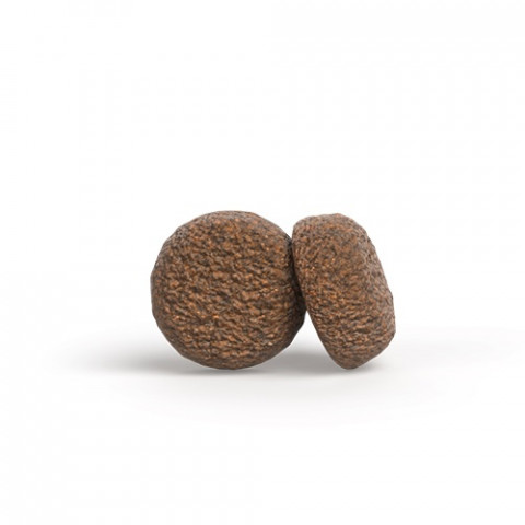 JOSERA Adult Mini Chicken & Rice - trockenfutter für Hunde - 900g - Fotogalerie 2