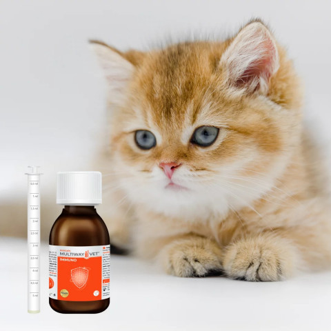 JM SANTE Multiway Vet® Duocaps Immuno - nahrungsergänzungsmittel für hunde und katzen - 90ml - Fotogalerie 2