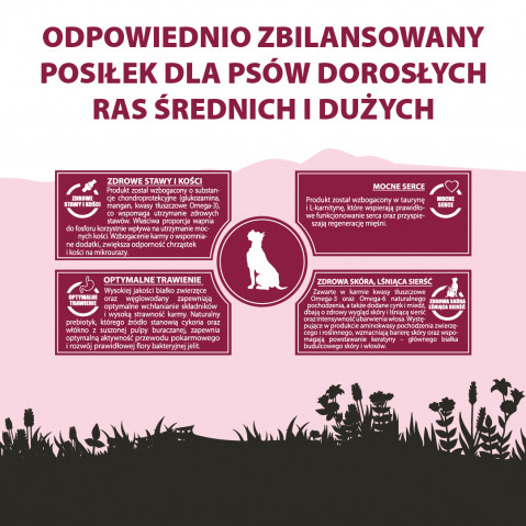 PUPIL Premium Medium and large breeds Rich in beef - trockenfutter für Hunde - 12kg - Fotogalerie 3