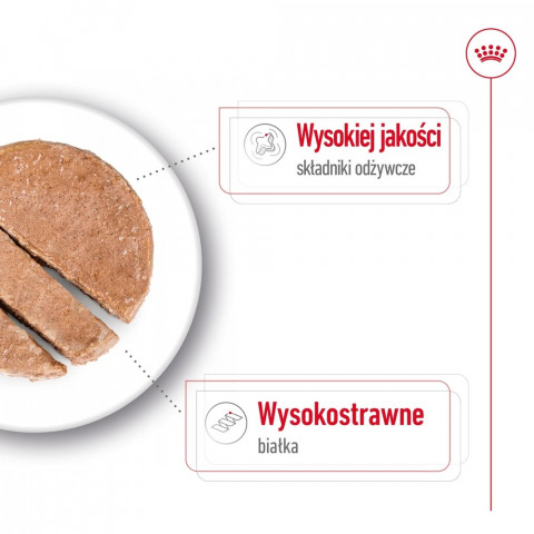 ROYAL CANIN Maxi Loaf - Nassfutter für Hunde - 410g - Fotogalerie 4