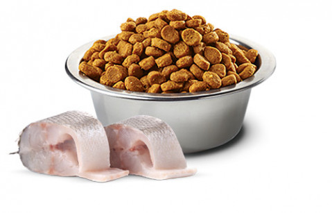FARMINA N&D Seebarsch, Spirulina und Fenchel Adult Mini - Trockenfutter für Hunde - 2 kg - Fotogalerie 3