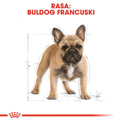 ROYAL CANIN French Bulldog Adult - Trockenfutter für Hunde - 3 kg - Fotogalerie 7