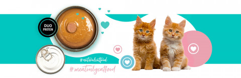 3COTY 42. Chicken and duck (kitten) - nassfutter für Katzen - 12x180g - Fotogalerie 4