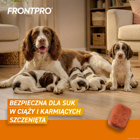 FRONTPRO Floh- und Zeckentabletten für Hund (>10-25 kg) - 3x 68mg - Fotogalerie 4