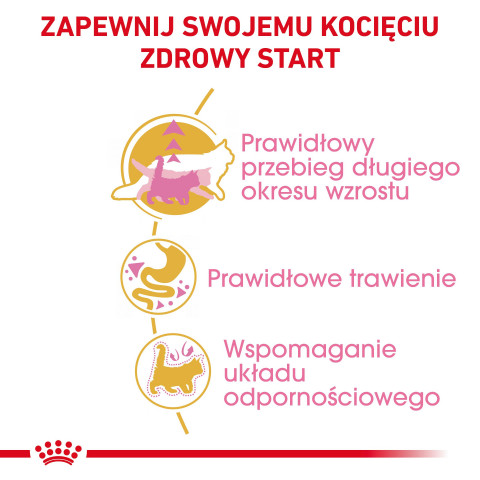 ROYAL CANIN Maine Coon Kitten - Trockenfutter für Katzen - 4 kg - Fotogalerie 7