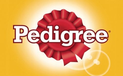 PEDIGREE Adult Rind in Gelee – Nassfutter für Hunde – 24×400 g - Fotogalerie 2