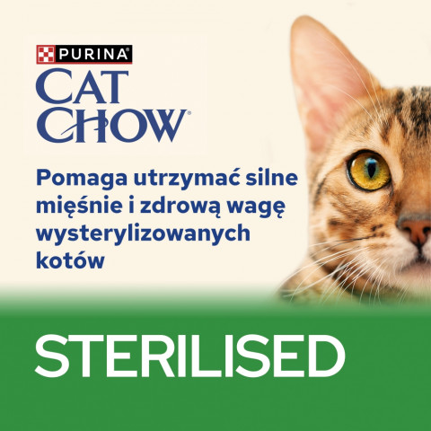 DIAMENTIQ Neutral – neutrales Katzenstreu – 3,8 l + 10×85 g PURINA Cat Chow Sterilised Lamm mit grünen Bohnen GRATIS! - Fotogalerie 18