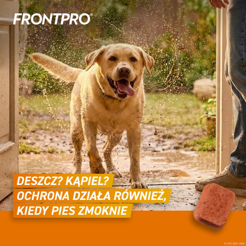 FRONTPRO Floh- und Zeckentabletten für Hund (>25-50 kg) - 3x 136mg - Fotogalerie 3
