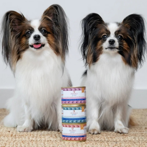 PERRO Gourmet Monoprotein Rabbit with carrot - Nassfutter für Hunde - 400g - Fotogalerie 2