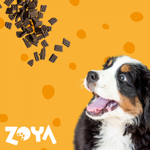 ZOYA ColdPRO Lamb - trockenfutter für Hunde - 1kg - Fotogalerie 4