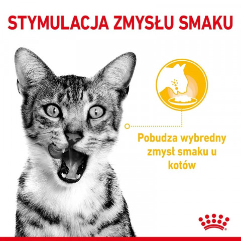 ROYAL CANIN Sensory Taste - nassfutter für Katzen - 12x85g - Fotogalerie 3