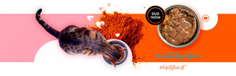 3COTY 17. Turkey and krill - nassfutter für Katzen - 6x180g - Fotogalerie 4