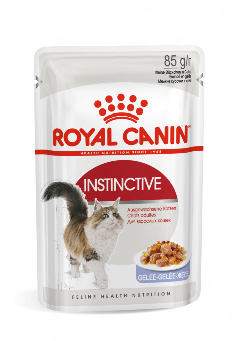 ROYAL CANIN FHN Instinctive in Jelly - Nassfutter für ausgewachsene Katzen - 12x85g - Fotogalerie 1