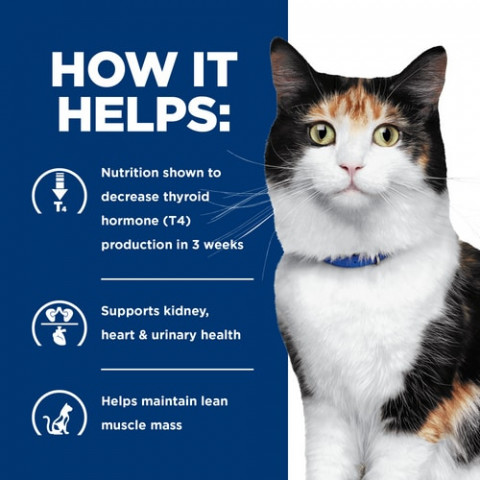 Hill's Prescription Diet Thyroid Care Feline y/d - Katzenfutter für Katzen mit Schilddrüsenerkrankungen - Dose 6x156 g - Fotogalerie 5