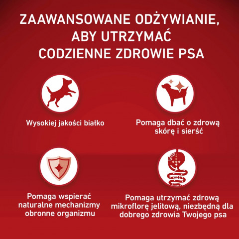 PURINA One Adult Medium/Maxi Rich in beef with rice - trockenfutter für Hunde - 12kg - Fotogalerie 2