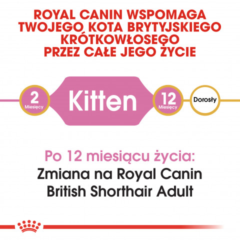 Royal Canin British Shorthair Kitten Katzen-Trockenfutter 2 kg Geflügel, Reis, Gemüse - Fotogalerie 6