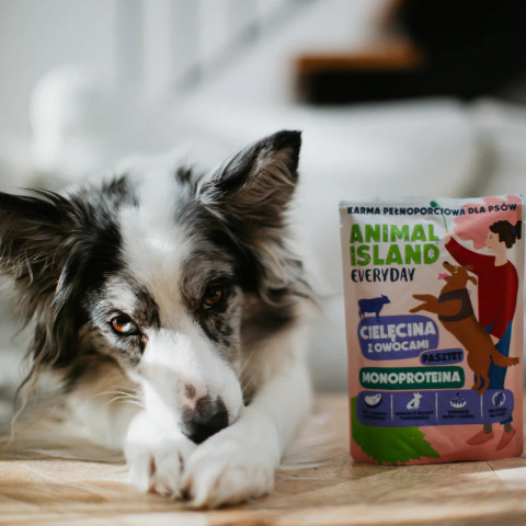 ANIMAL ISLAND Everyday Monoprotein Veal - Nassfutter für Hunde - 18x300g - Fotogalerie 3