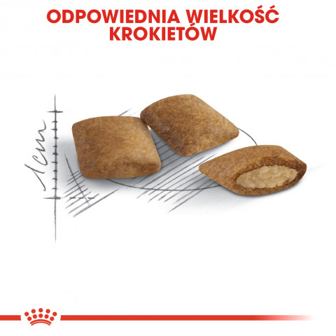 ROYAL CANIN FHN Senior Ageing 12+ - Trockenfutter für Katzen - 4 kg - Fotogalerie 4