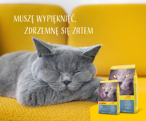 Josera LÉGER Katzen-Trockenfutter 10 kg Adult Geflügel - Fotogalerie 2