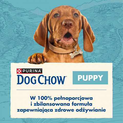 Purina Dog Chow Puppy Lamb 14 kg Welpe - Fotogalerie 7