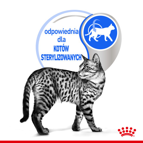 ROYAL CANIN FHN Indoor jelly - Nassfutter für ausgewachsene Katzen - 12x85g - Fotogalerie 4