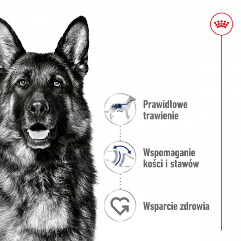 ROYAL CANIN Maxi Adult - Trockenfutter für Hunde - 15 kg - Fotogalerie 2