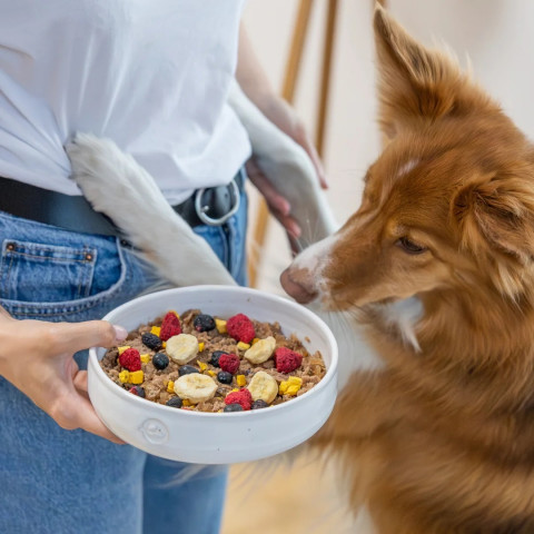 PERRO Mix & Match Peach - leckerli für hunde - 15g - Fotogalerie 2