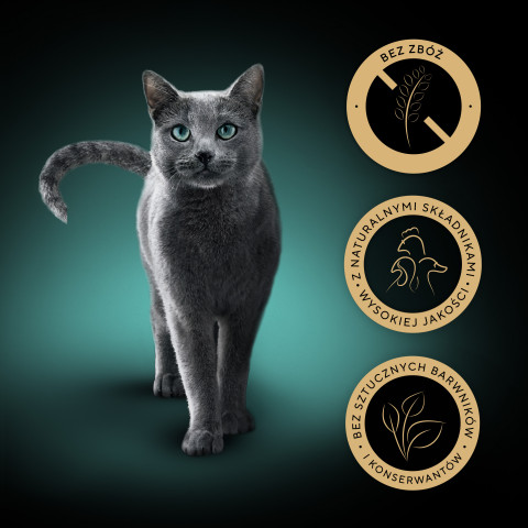 SHEBA Nature's Collection Poultry Flavors in jelly - nassfutter für Katzen - 40 x 85g - Fotogalerie 16