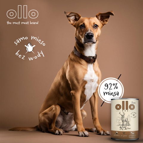 OLLO Pure Hirsch – Nassfutter für Hunde – 850 g - Fotogalerie 8